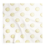 Ace lens cloth